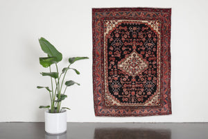 4.5x6 Persian Rug | KAMOUS