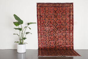 5x9.5 Persian Rug | DATIS