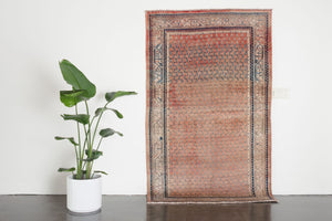 4.5x7.5 Persian Rug | DANUSH