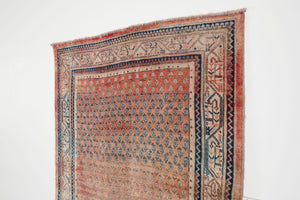 4.5x7.5 Persian Rug | DANUSH