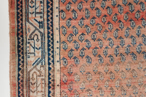 4.5x7.5 Persian Rug | DANUSH