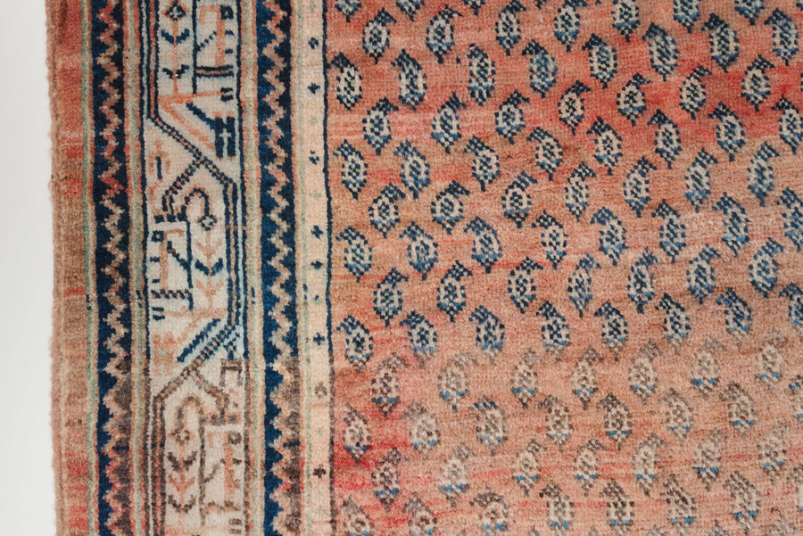 4.5x7.5 Persian Rug | DANUSH