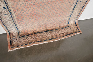 4.5x7.5 Persian Rug | DANUSH