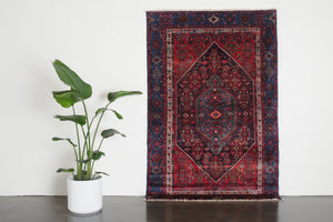 5x7 Persian Rug | CHAVOSH