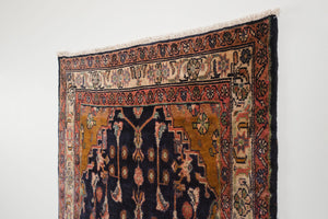 3.5x8 Persian Rug | MAHYAZ
