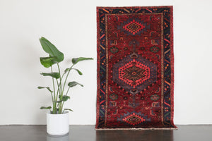 4x7 Persian Rug | MANAK