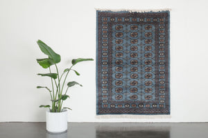 4x6.5 Pakistani Rug | DAGAR