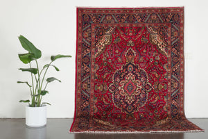 6.5x9 Persian Rug | MEHRDAD