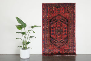 4x7.5 Persian Rug | EFRAN