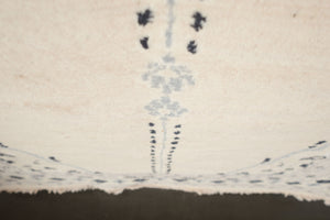 4x6 Pakistani Rug | DARIS