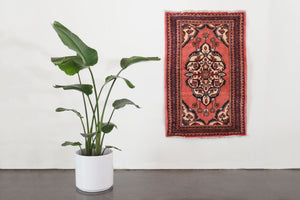 2.5x4 Persian Rug | MAHAN