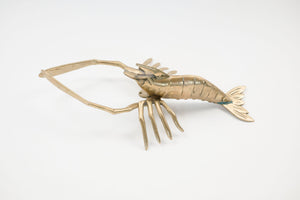 Jumbo Brass Shrimp