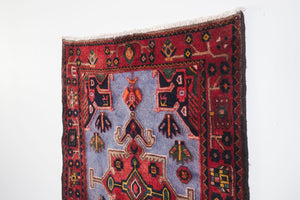 3x10 Persian Rug | GHASEM