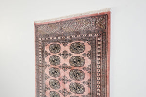 2.5x10 Pakistani Rug | AIZAD