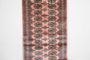 2.5x10 Pakistani Rug | AIZAD