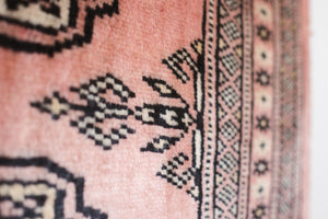2.5x10 Pakistani Rug | AIZAD