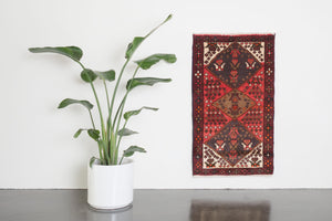 2x4 Persian Rug | HIRAD