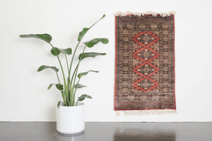 2.5x4 Pakistani Rug | BOTROS