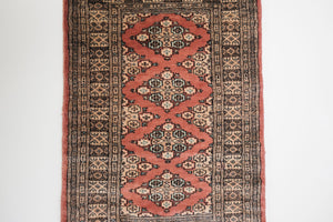 2.5x4 Pakistani Rug | BOTROS