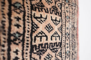 2.5x4 Pakistani Rug | BOTROS