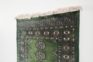 2.5x4 Pakistani Rug | BUJAIR