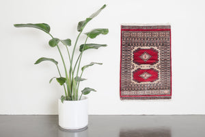 2x3 Pakistani Rug | FANAN