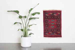 2x3 Pakistani Rug | FARHI