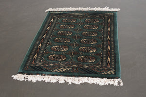 2x3 Pakistani Rug | BRAHIN