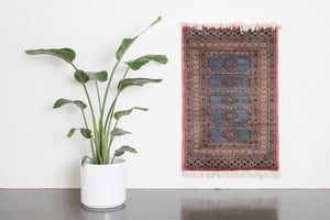 2.5x4 Pakistani Rug | BISMAL