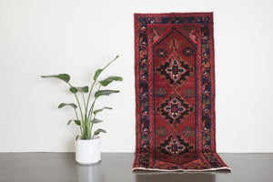 4x9 Persian Rug | DOLAT