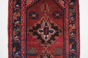 4x9 Persian Rug | DOLAT