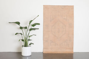 4x6 Turkish Sunwash Rug | CEMILE