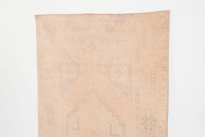 4x6 Turkish Sunwash Rug | CEMILE