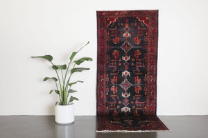 3.5x9 Persian Rug | DONIYAL