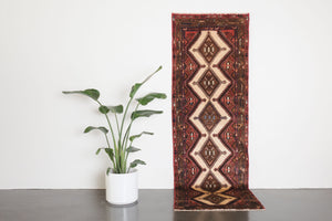 3x9 Persian Rug | CASRA
