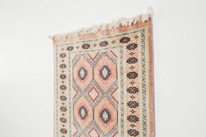 2.5x10.5 Pakistani Rug | DIWA