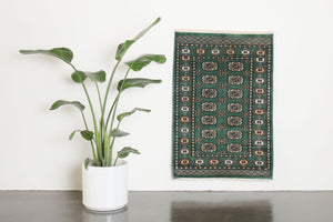 3x4 Pakistani Rug | DARVESH