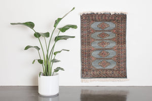 3x4 Pakistani Rug | DARRAH
