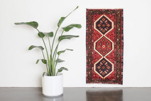 2x4 Persian Rug | HIVAND