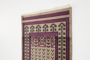 3x10 Pakistani Rug | DANYAH