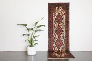 3x9 Persian Rug | KAMRAN