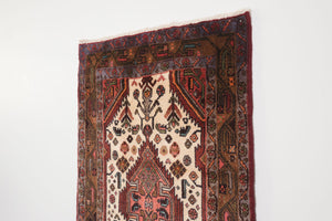 3x9 Persian Rug | KAMRAN