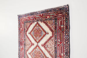 3x9 Persian Rug | MEHRSHAD