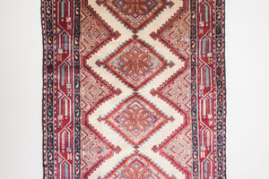 3x9 Persian Rug | MEHRSHAD