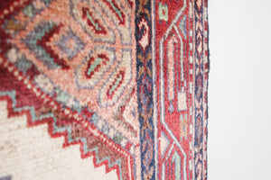 3x9 Persian Rug | MEHRSHAD