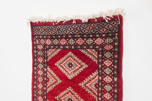 2x3 Pakistani Rug | DAYLAM