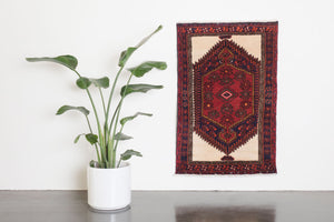 3x4 Persian Rug | GOMATA