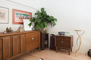 MC Brass Plant Stand