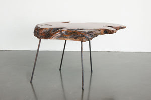 Live Edge Coffee Table
