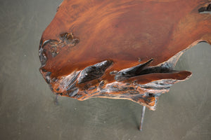Live Edge Coffee Table